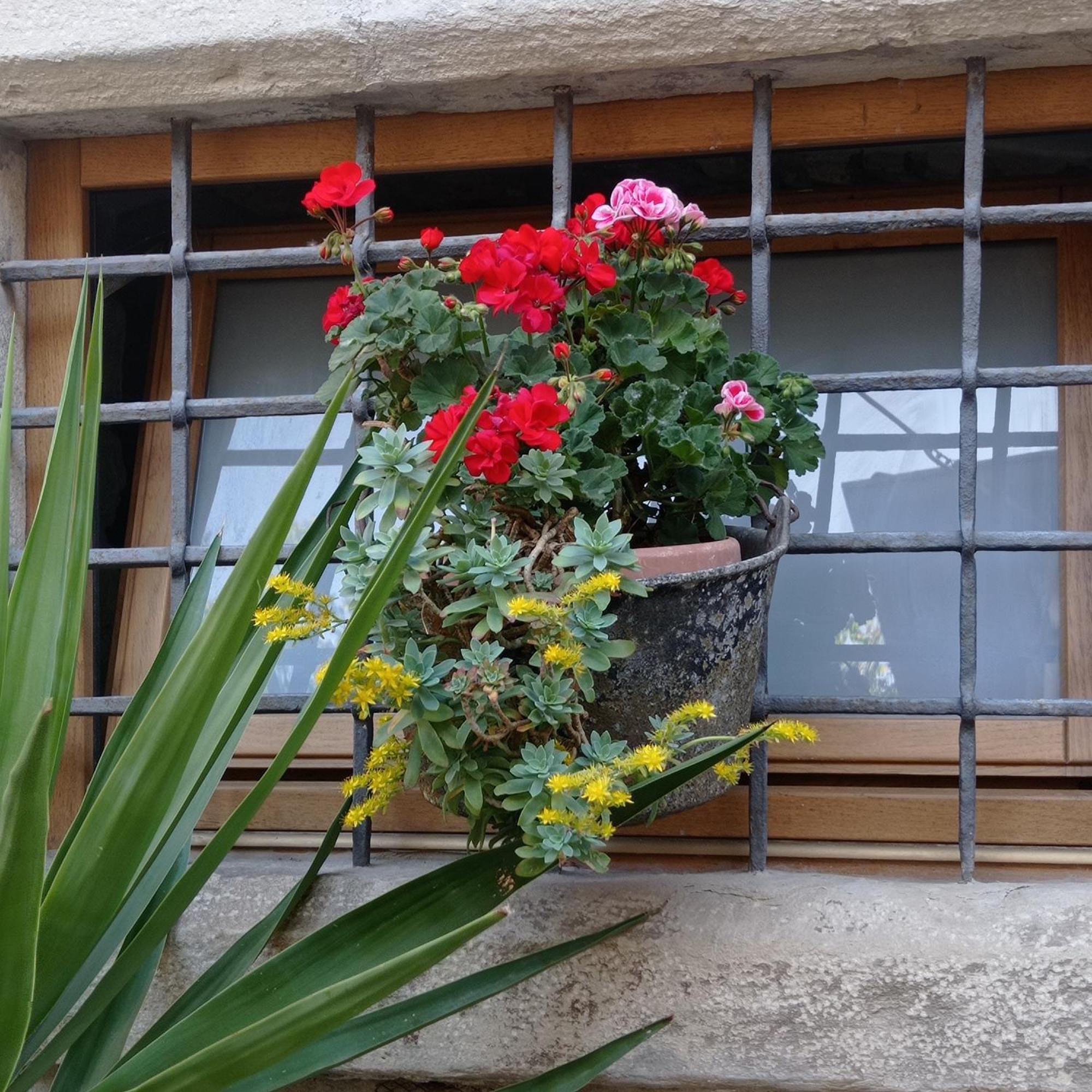 Casa Vacanza Gaia Costa di Mezzate ภายนอก รูปภาพ